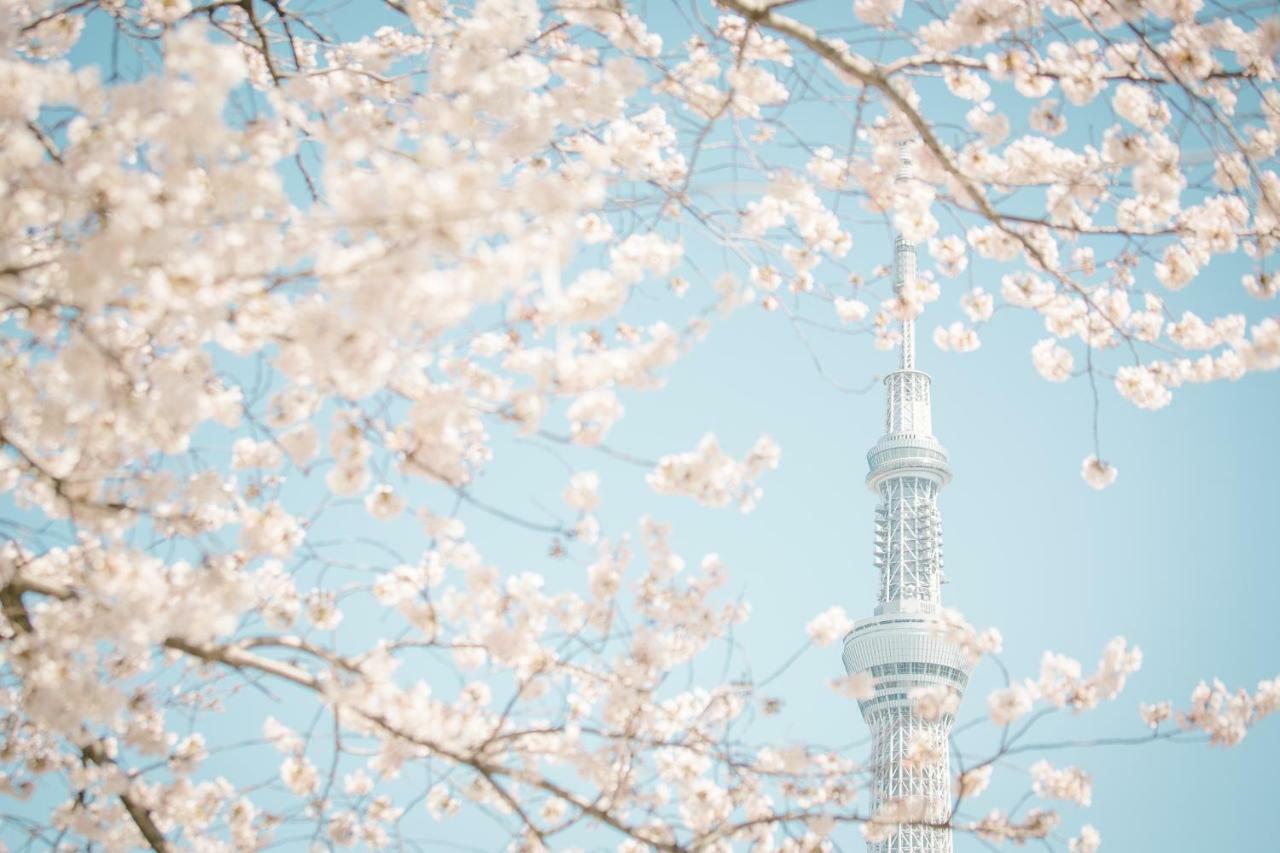 Hotel Ichigaya（Jr Ichigaya Sta.) Tokyo Eksteriør bilde